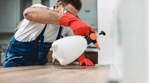 Real Estate Pest Inspections in Hellertown, PA